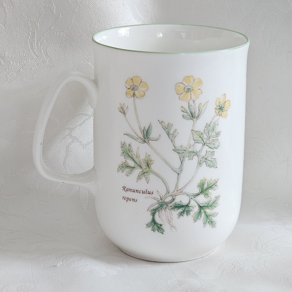 Vintage Rose of England Buttercup Bone China Mug, Yellow/Green, Watercolor #10